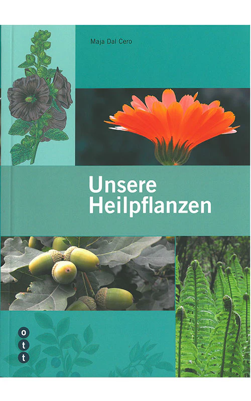 Vorschaubild 1